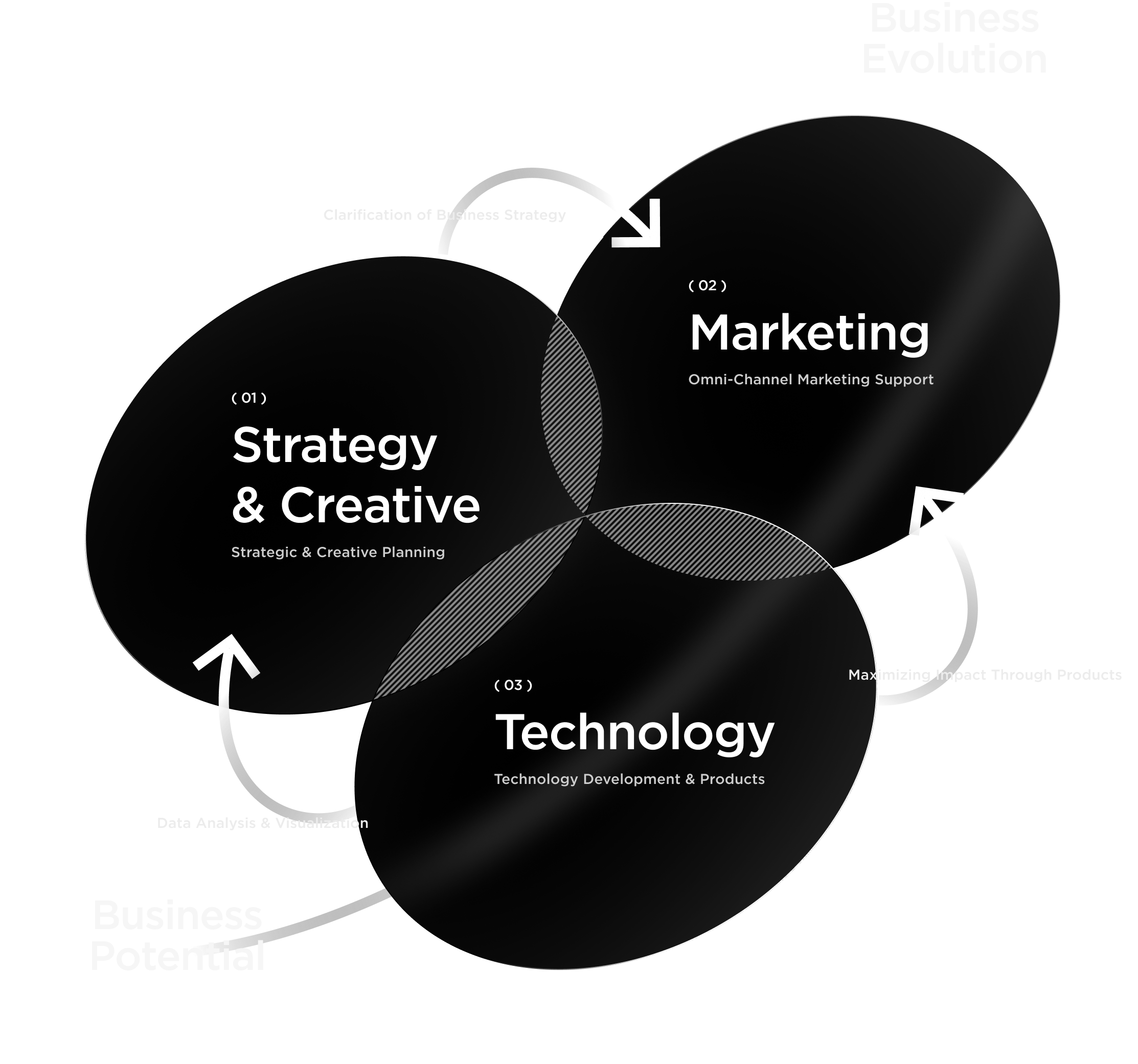 No Limit for
the evolution beyond